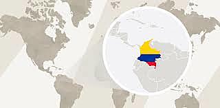 Título 7 - De la rama ejecutiva