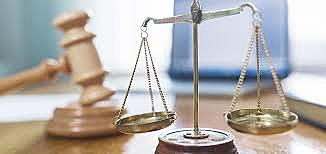 Título 10 - De los organismos de control