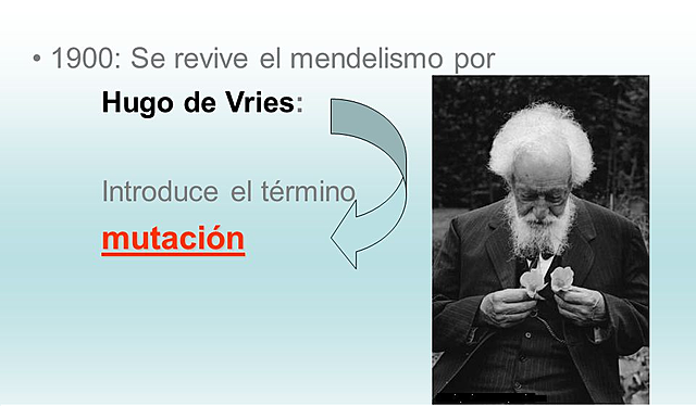 Hugo de Vries redescubre el mendelismo.