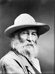 Walt Whitman, Fulles d'herba