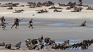 Hitler attacks Holland, Belgium and France