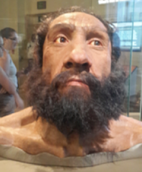 Neanderthals