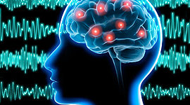 Timeline: Fases del sueño y sus características neurofisiologícas