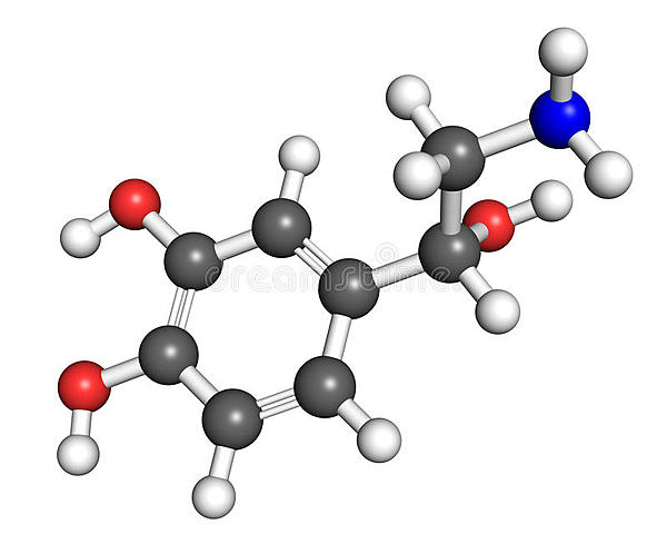 Sistema noradrenérgico – locus coeruleus (protuberancia)