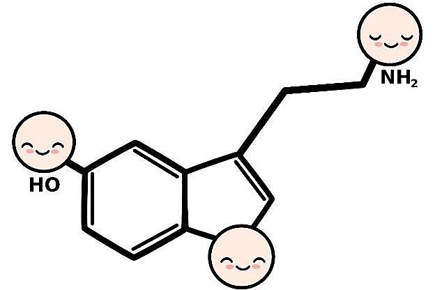 Sistema serotoninérgico – núcleos del rafe (formación reticular)