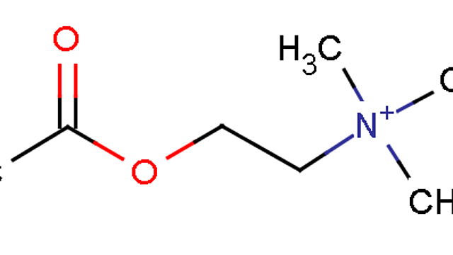 Sistema colinérgico – área peribraquial + prosencéfalo basal