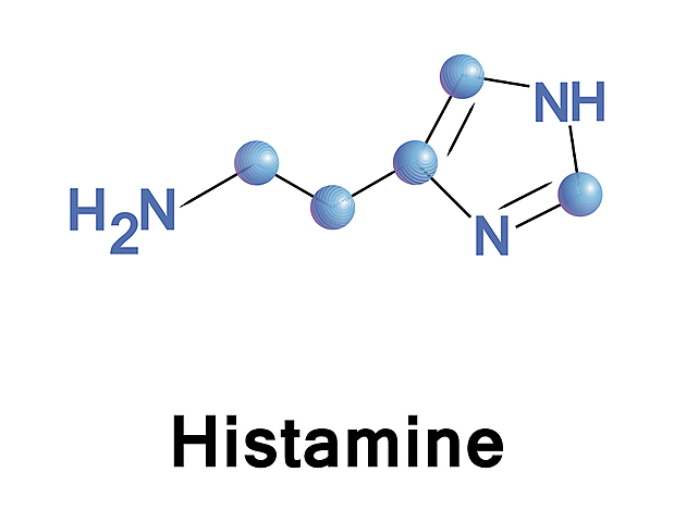 Sistema histaminérgico- núcleo tuberomamilar (hipotálamo)