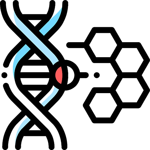 Sistema orexinérgico (hipotálamo lateral)