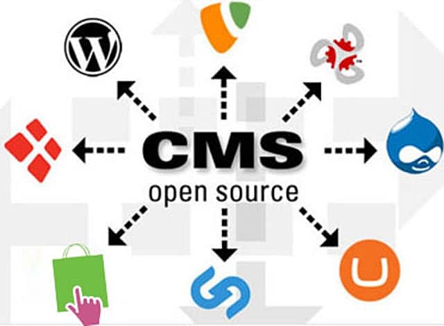 Aparición de los CMS