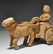 Domestication of Animals