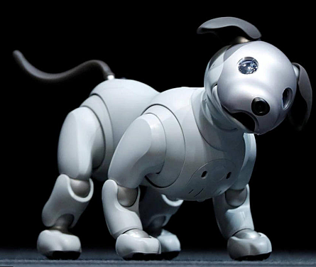 Aibo (perro robot)