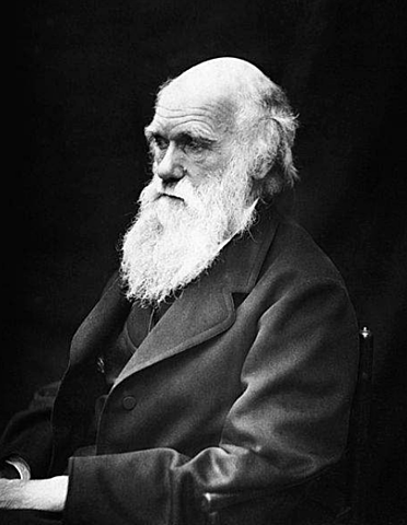 Charles Robert Darwin Wedgwood