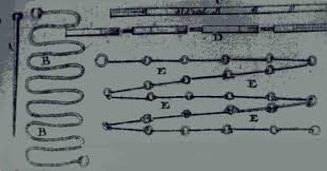 PATRÓN DE LONGITUD TOESA DE CHATELET