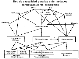 Brian MacMahon "Red de causalidad"