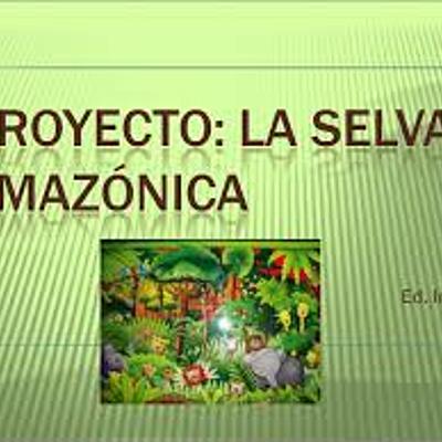 Timeline: Región Amazónica.