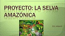 Timeline: Región Amazónica.