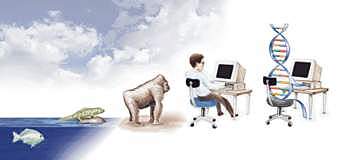 uso de la programación