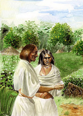 culturas indígenas de colombia