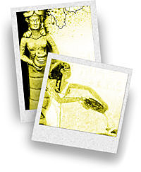 EVIDENCIA DE SU EXISTENCIA