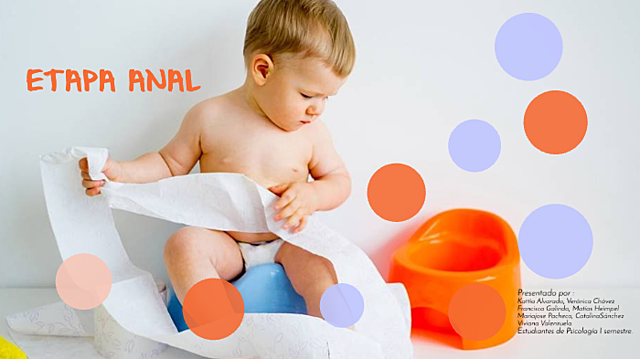 Etapa Anal