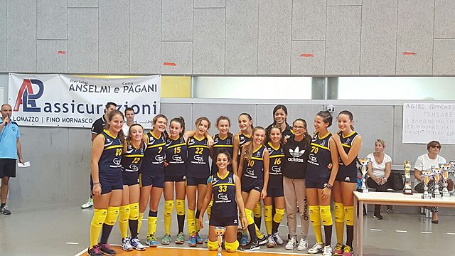 Trayectoria (Carrera Profesional)