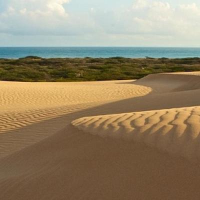 Timeline: LINEA DE TIEMPO/ Momentos importantes de mi vida