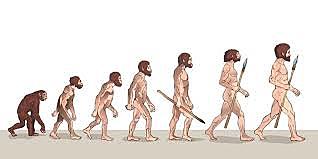 APARICIÓN  DEL SER HUMANO COMO ESPECIE 2,5 m.a)