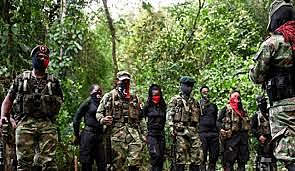 DESMOVILIZACIÓN DE 7 GRUPOS ARMADOS