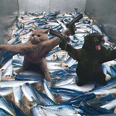 Timeline: Naturaleza de la luz