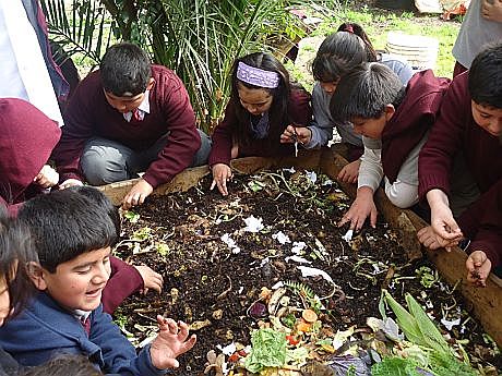 Impulso a la educación aprender-haciendo