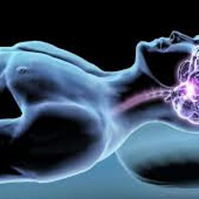 Timeline: FASES DEL SUEÑO