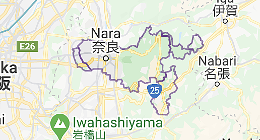 the first capital is established at Nara