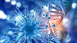 Timeline: ORIGEN DE LA CRÍA DE ANIMALES