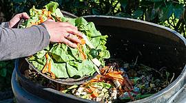 Timeline: Desperdicio del a comida