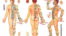Timeline: EVOLUCIÓN DE LA ACUPUNTURA CHINA