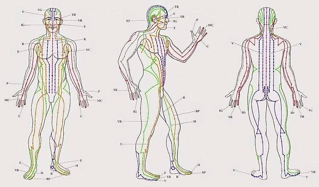 SISTEMA DE MERIDIANOS