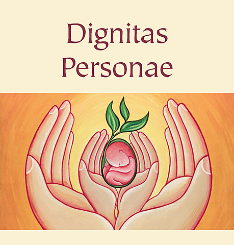 Contribución de la Iglesia Católica