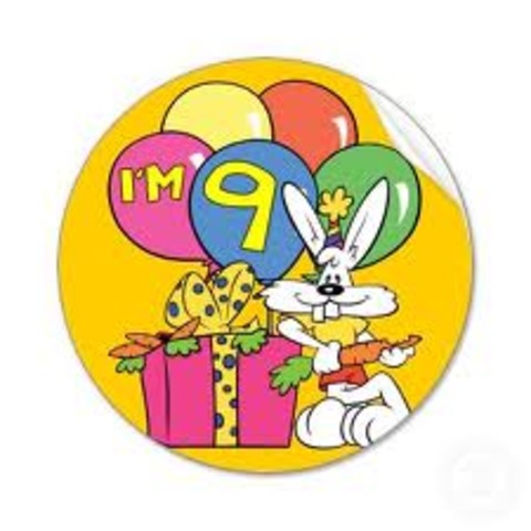 ninth birthday