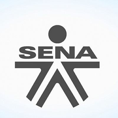 Timeline: Historia del sena