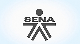 Timeline: Historia del sena