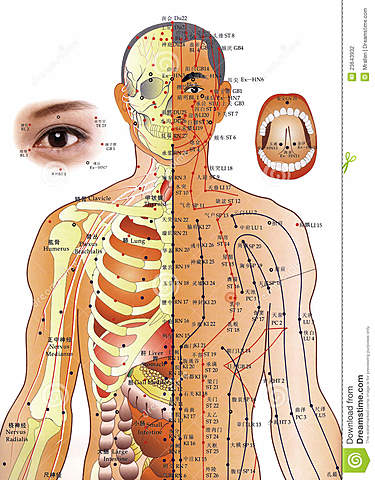 AUGE DE LA ACUPUNTURA