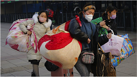 Surgimiento del Nuevo Coronavirus