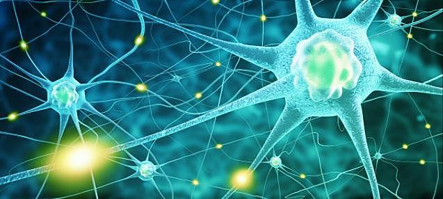 Wilhelm Wundt (1832-1920):