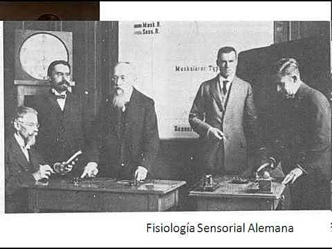 Inicio de la Psicología