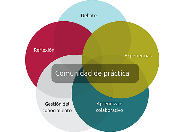 Comunidad de Práctica.