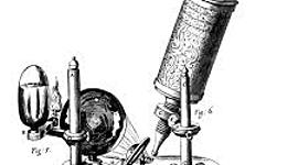 Timeline: Historia del Microscopio.