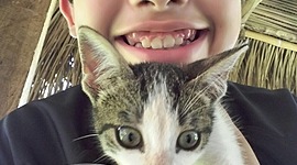 Timeline: linea del tiempo