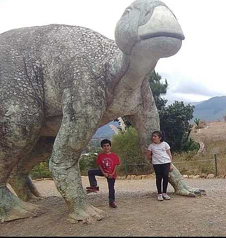 conociendo los dinosaurios