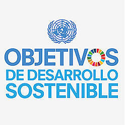 Cumbre de Desarrollo Sostenible 2015