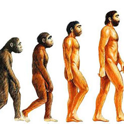 Timeline: LA ERA DEL SER HUMANO